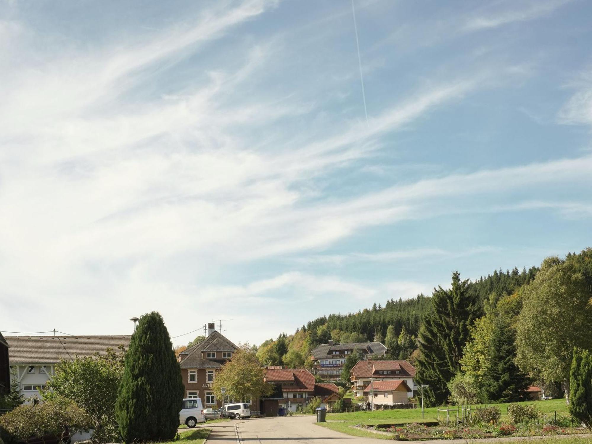 Cozy Holiday Apartment In The Black Forest Dachsberg im Schwarzwald ภายนอก รูปภาพ