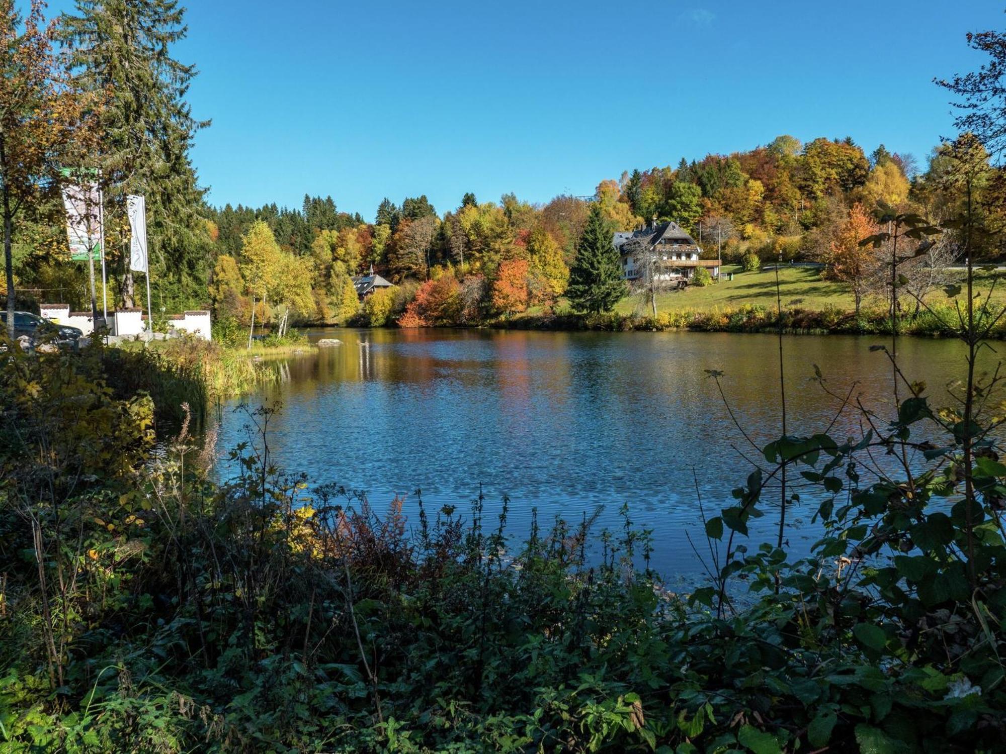 Cozy Holiday Apartment In The Black Forest Dachsberg im Schwarzwald ภายนอก รูปภาพ